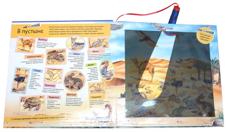 Иллюстрация № 1 к книге 