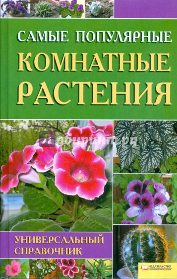 Самые популярные комнатные растения