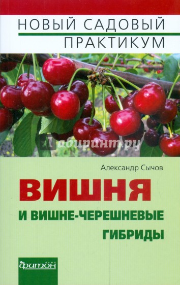 Вишня и вишне-черешневые гибриды