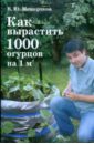 Мещеряков Вадим Юрьевич Как вырастить 1000 огурцов на 1 кв. метре фотографии