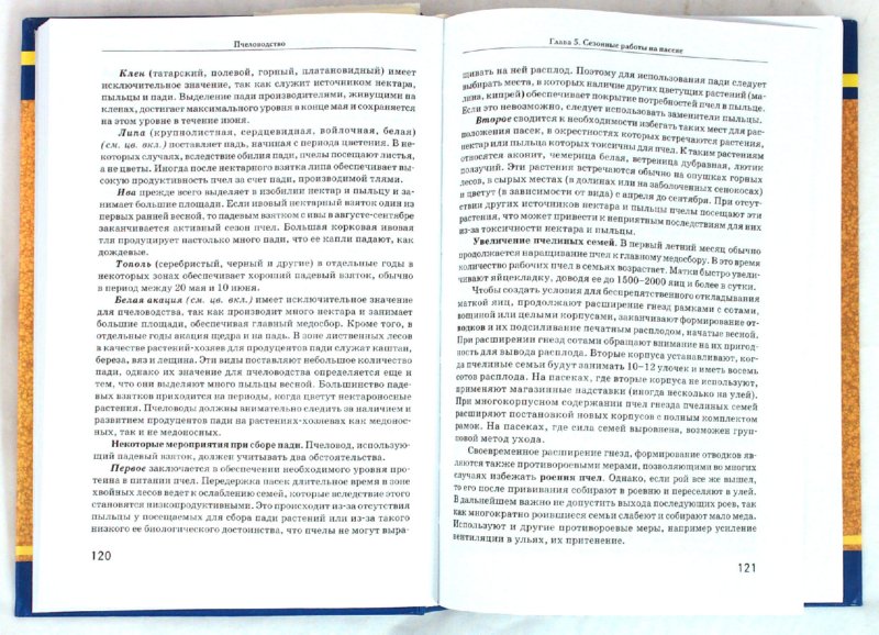 Иллюстрация 1 из 2 для Пчеловодство - Комлацкий, Логинов, Плотников | Лабиринт - книги. Источник: Лабиринт