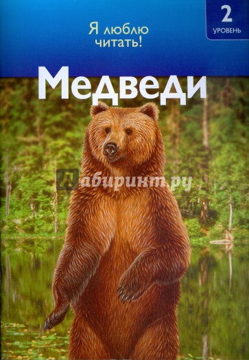 Медведи