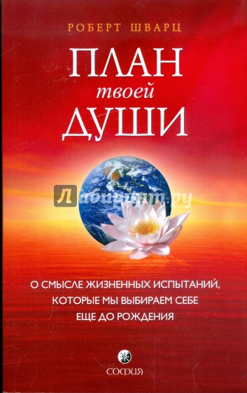 План твоей души: О смысле жизненных испытаний, которые мы выбираем себе еще до рождения