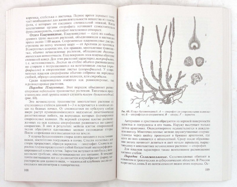 Иллюстрация 1 из 13 для Биология растений, грибов, лишайников. 10-11 классы - Агафонова, Сивоглазов | Лабиринт - книги. Источник: Лабиринт