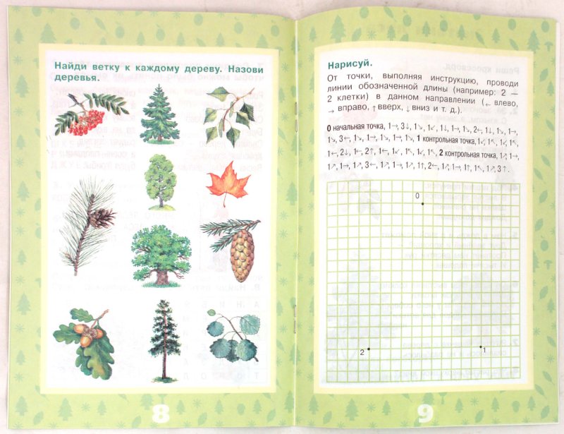 Иллюстрация 1 из 17 для Растения леса - Ольга Тишурина | Лабиринт - книги. Источник: Лабиринт