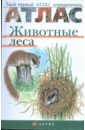 Бровкина Евгения Тихоновна, Сивоглазов Владислав Иванович Атлас. Животные леса (3582)