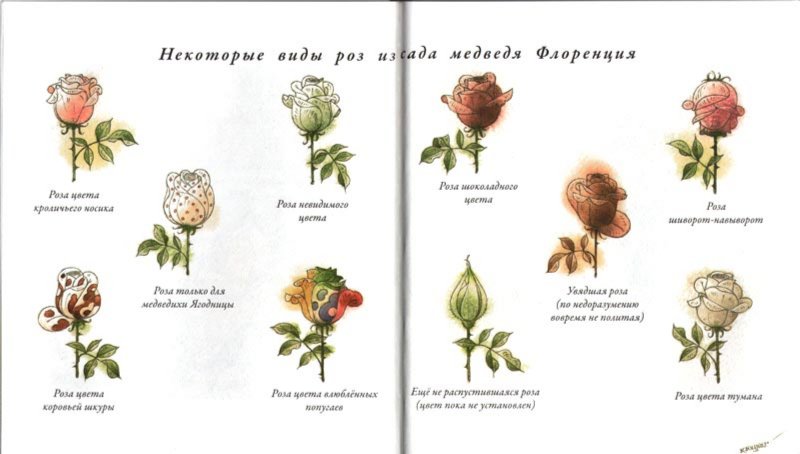 Иллюстрация 2 из 40 для Садовник Флоренций - Кястутис Каспаравичюс | Лабиринт - книги. Источник: Лабиринт