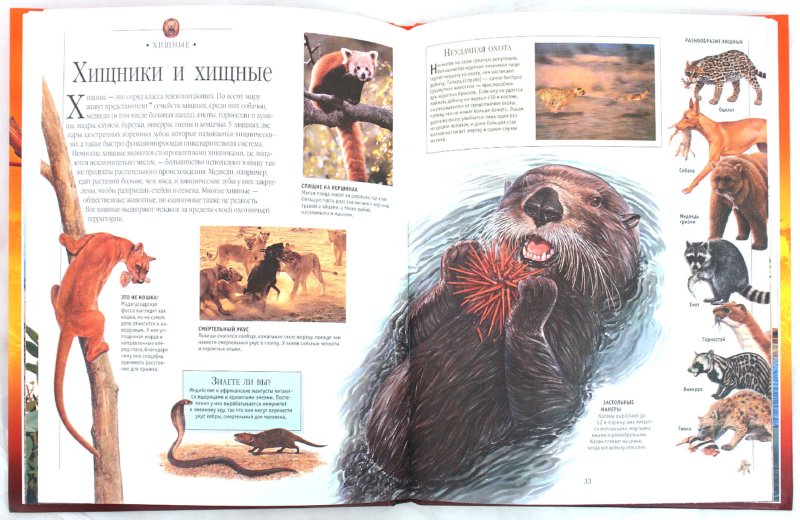 Иллюстрация 1 из 32 для Млекопитающие. Иллюстрированная энциклопедия | Лабиринт - книги. Источник: Лабиринт