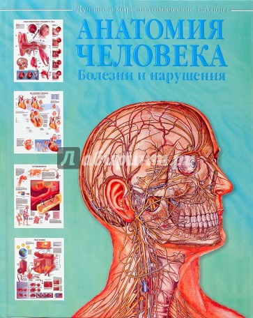 Анатомия человека. Болезни и нарушения