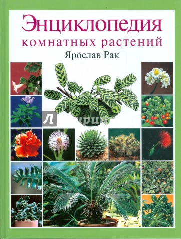 Энциклопедия комнатных растений