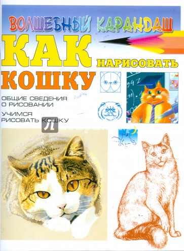 Как нарисовать кошку