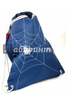 Сумка школьная для обуви Spider web (840316).