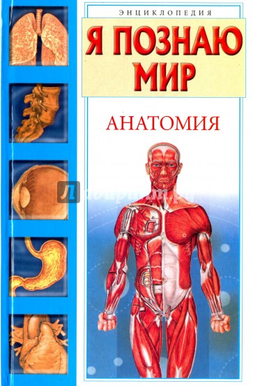 Я познаю мир. Анатомия