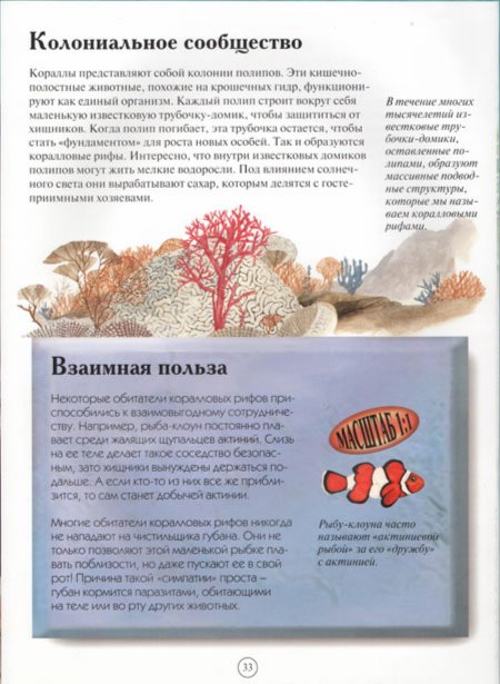 Иллюстрация 2 из 32 для Акулы и другие обитатели подводного мира - Дэниел Гилпин | Лабиринт - книги. Источник: Лабиринт