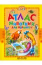 атлас животных для малышей Комзалова Татьяна Александровна Атлас животных для малышей