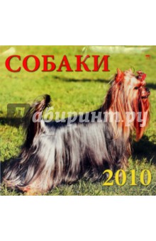 Календарь. 2010 год. Собаки (70920).
