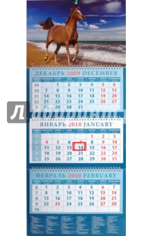 Календарь 2010 Лошадь на берегу моря (14954).