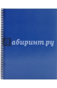 Тетрадь 96 листов, синяя (бумвинил, спираль) (ТК 596 В1-58-5).