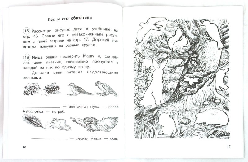 решебник по билогии к рабочей тетради в.и.сивоглазая и.б.агафонова 10-11 класс