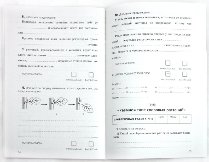 учебник по биологии 6 класс викторов никишов Биологии по класс викторов 6 никишов учебник