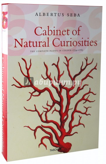 Cabinet of Natural Curiosities