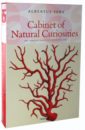Musch Irmgard, Rust Jes, Willmann Rainer Cabinet of Natural Curiosities seba cabinet of natural curiosities