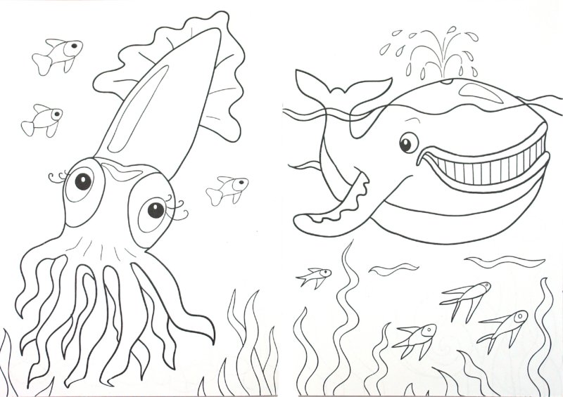 Иллюстрация 1 из 15 для Раскраска: В подводном мире | Лабиринт - книги. Источник: Лабиринт