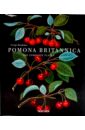 Brookshaw George Pomona Britannica