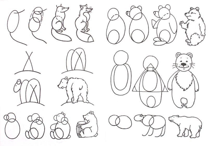 Урок рисования 8 лет. Рисование для дошкольников. Схемы рисования для детей. Поэтапное рисование животных. Рисование по этапам для детей.