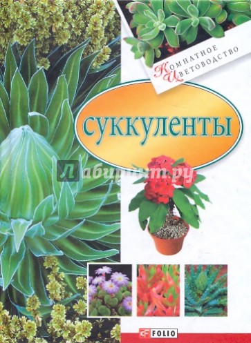 Суккуленты