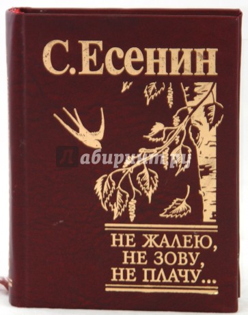 Не зову не плачу есенин. Не жалею не зову не плачу Есенин. Есенин не жалею. Сергей Есенин не жалею не зову не плачу. Не жалею не плачу Есенин.