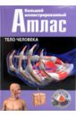анатомия человека 360° иллюстрированный атлас роубак д Тело человека. Большой иллюстрированный атлас человека