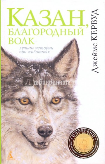 Казан, благородный волк