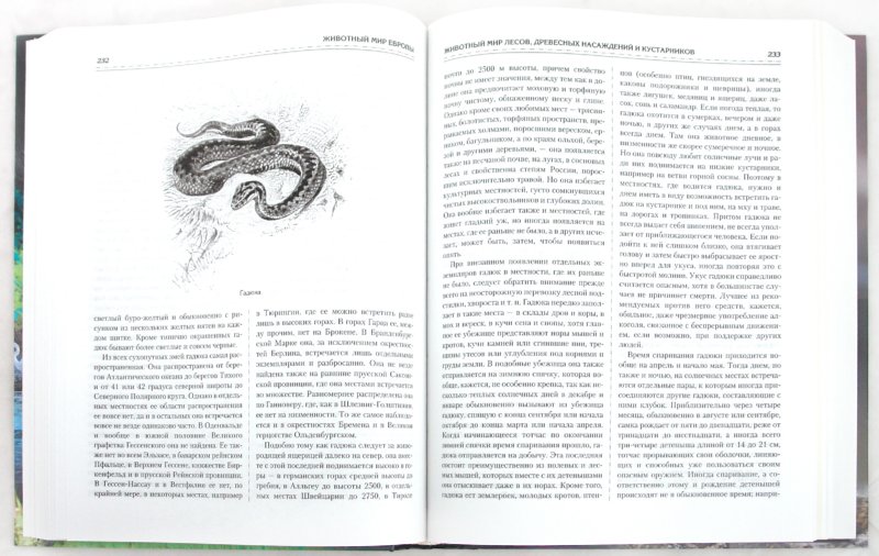 Иллюстрация 1 из 2 для Животный мир, его быт и среда. В 3-х томах - Вильгельм Гааке | Лабиринт - книги. Источник: Лабиринт
