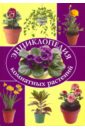 Обложка Энциклопедия комнатных растений