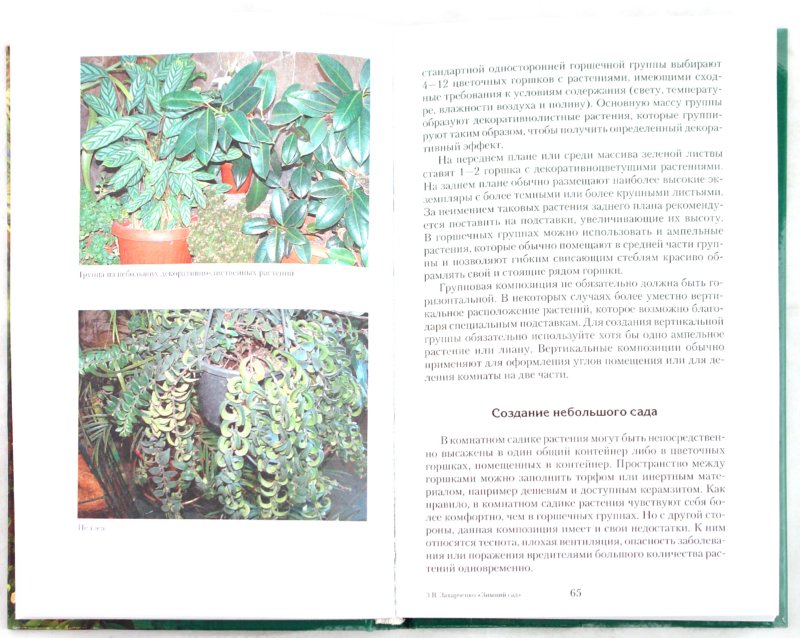 Иллюстрация 1 из 29 для Зимний сад в квартире, доме, офисе - Виктория Захарченко | Лабиринт - книги. Источник: Лабиринт