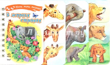 В жарких странах