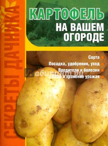 Картофель на вашем огороде