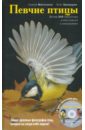 Обложка Певчие птицы: энциклопедия (+CD)