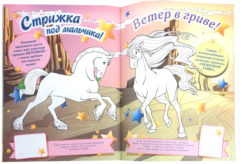 Раскраска Принцесса и лошадь