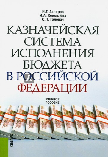 Казначейская система исполнения бюджета в Российской Федерации. Учебное пособие