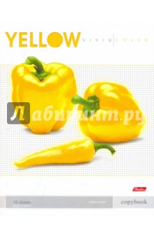  48     Yellow  (4851 06091)