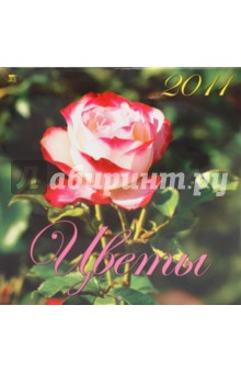 Календарь настенный 2011 год. 