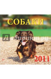 Календарь. 2011 год. Собаки (71020).