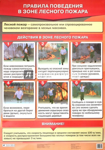 Правила поведения в зоне лесного пожара