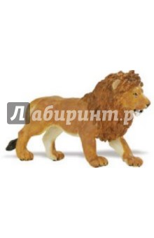 Ангольский лев (290229).