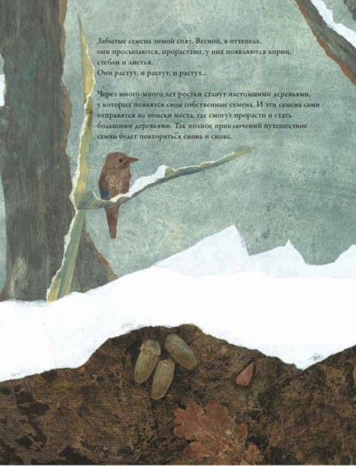 Иллюстрация 3 из 26 для По земле и по воздуху. Как путешествуют растения - Анне Меллер | Лабиринт - книги. Источник: Лабиринт