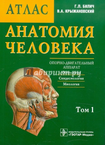 Анатомия человека: атлас. В 3-х томах. Том 1. Опорно-двигательный аппарат