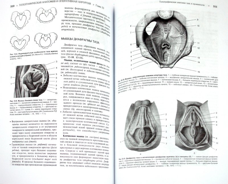 Иллюстрация 1 из 21 для Топографическая анатомия и оперативная хирургия. В 2 томах. Том 2 - Сергиенко, Петросян, Фраучи | Лабиринт - книги. Источник: Лабиринт