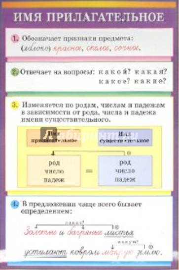 Стационарное учебное наглядное пособие "Имя прилагательное/Глагол"